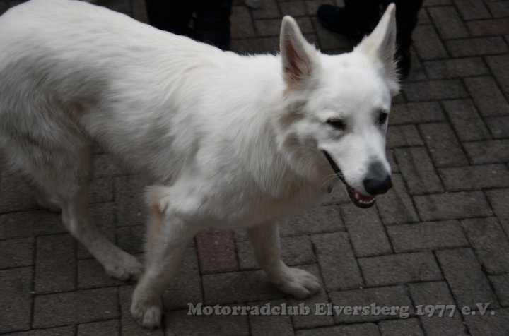 Saisoneroeffnungsfahrt 2012 - 313.JPG